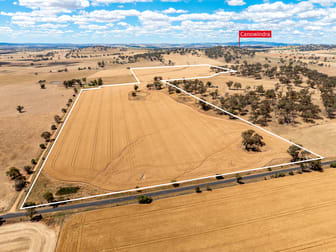 530 Billimari Road Cowra NSW 2794 - Image 3