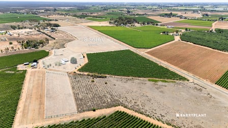 37 Trioda Street Red Cliffs VIC 3496 - Image 1