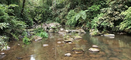 9 Middlebrook Rd Millaa Millaa QLD 4886 - Image 1