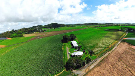 84 Harvisons Road Erakala QLD 4740 - Image 1