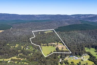 20 Nichols Road Narbethong VIC 3778 - Image 2