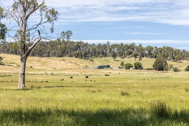 3600 Blessington Road Upper Blessington TAS 7212 - Image 1