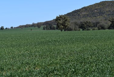 120 Ganantagi Road Yarrabandai NSW 2875 - Image 1