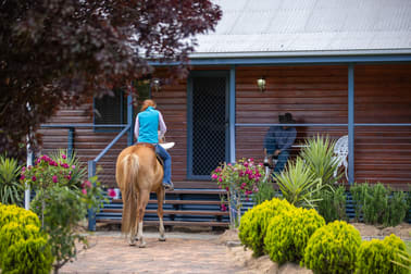 652 Mount Lindesay Road Tenterfield NSW 2372 - Image 1