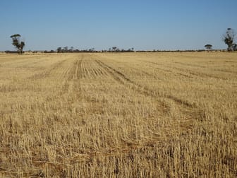 3397 Bendering Road Kondinin WA 6367 - Image 3