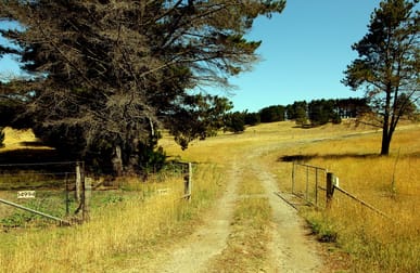 14992 Hume Highway Paddys River NSW 2577 - Image 1