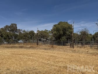9547 Mahonga Road Urana NSW 2645 - Image 3