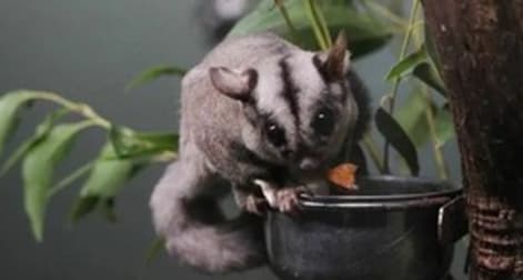 Professional Services  business for sale in Melbourne - Image 1