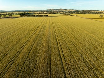 158 Bethel Road Burrumbuttock NSW 2642 - Image 3