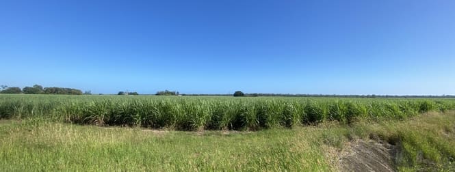 327 Moore Park Road Moore Park Beach QLD 4670 - Image 1