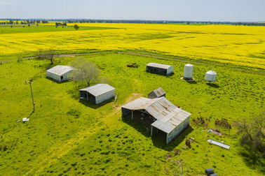 93 Racecourse Lane Stockinbingal NSW 2725 - Image 2