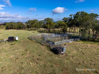 733 Niangala Road Woolbrook NSW 2354 - Image 2