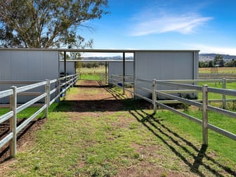 347 Warrah Ridge Road Quirindi NSW 2343 - Image 3