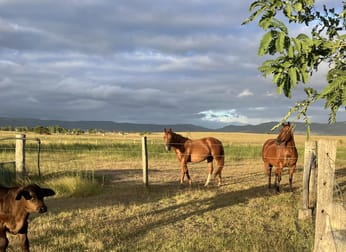 307 Silverleaves Road Mount Beppo QLD 4313 - Image 1