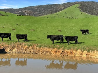 Click to view all images LOT 2 ON PS716983N L J DAWSON ROAD Elmhurst VIC 3469 - Image 1