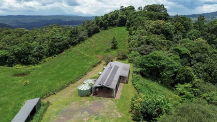 Lot 291 Palmerston Highway Mungalli QLD 4886 - Image 1