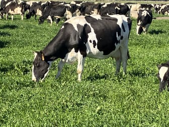 Click to view all images 5104B Murray Valley Highway Castle Donnington VIC 3585 - Image 2