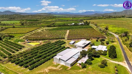 119 McLeod Road Mutchilba QLD 4872 - Image 1