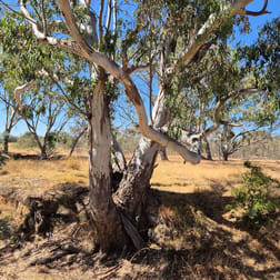 192 Moyreisk Redbank Road Redbank VIC 3477 - Image 2