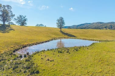 Click to view all images Lot 3 of 449 Hickeys Creek Road Millbank NSW 2440 - Image 3
