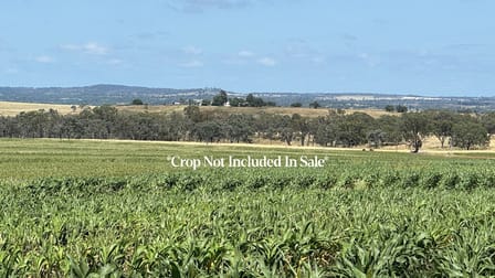 Lot 50 Rosenberger Road Wyreema QLD 4352 - Image 2