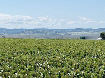 Lot 50 Rosenberger Road Wyreema QLD 4352 - Image 3