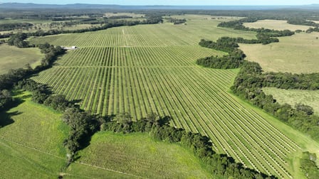 Como QLD 4571 - Image 1