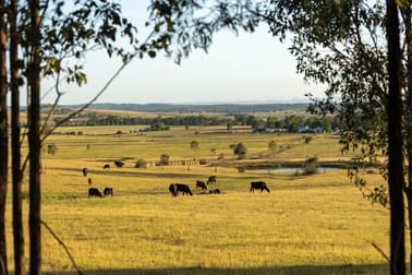 880D Elderslie Road Elderslie NSW 2335 - Image 3