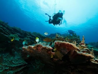 Retailer  business for sale in Burwood - Image 1