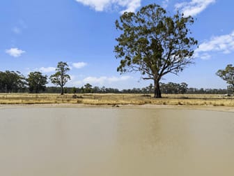 Nagambie-Locksley Road Tabilk VIC 3607 - Image 1