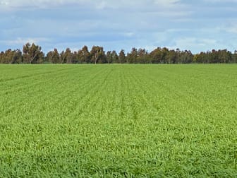 1205 Lower Darlington Road Lismore VIC 3324 - Image 1