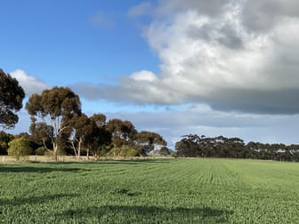 1205 Lower Darlington Road Lismore VIC 3324 - Image 2