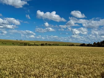 1205 Lower Darlington Road Lismore VIC 3324 - Image 3