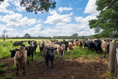 2646 Muir Highway (Upper Warren) Manjimup WA 6258 - Image 2