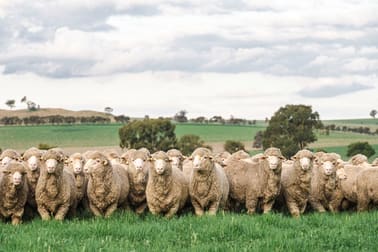 1679 Stockinbingal Road Cootamundra NSW 2590 - Image 1