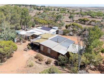 444 Panican Hill Road Rockleigh SA 5254 - Image 1