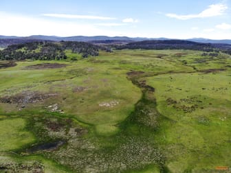 "Biilmann's Paddock" Nimmo Road Nimmo NSW 2628 - Image 3