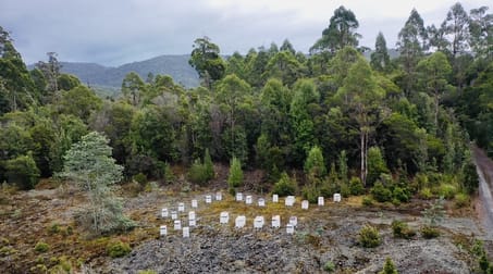 Rural & Farming  business for sale in Waratah - Image 1