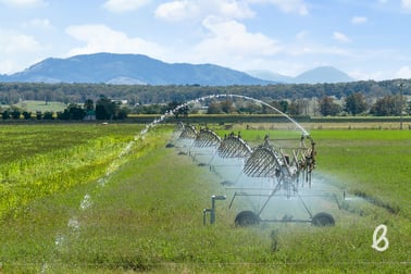 204 Racecourse Lane Singleton NSW 2330 - Image 3