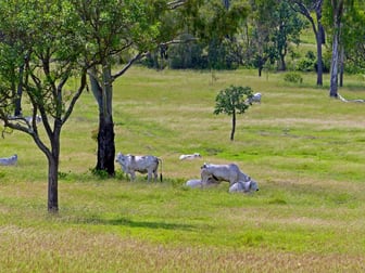 "Jacques " 0 Cunningham Road, Nine Mile QLD 4702 - Image 2