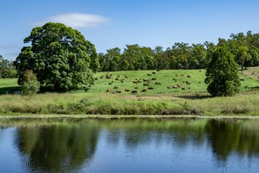 273 Mooloo Road Mooloo QLD 4570 - Image 3