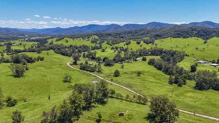 55 Argues Rd Upper Taylors Arm NSW 2447 - Image 1