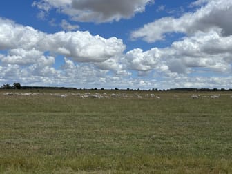 905 Coomberdale Road West Coomberdale WA 6512 - Image 2