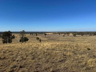 117 Hillside Lane Parkes NSW 2870 - Image 2