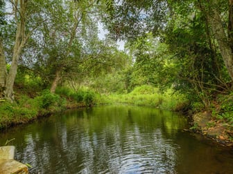 149 Coppermine Creek Road Langshaw QLD 4570 - Image 3