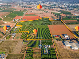 72 Murray Road Yoogali NSW 2680 - Image 1