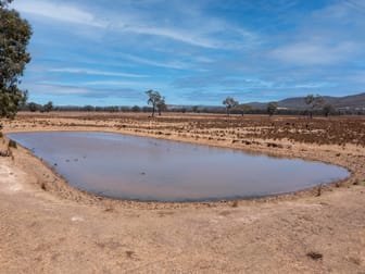 337 Laceby-Glenrowan Road Laceby VIC 3678 - Image 3