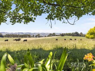 155 Coulters Road Mardan VIC 3953 - Image 1