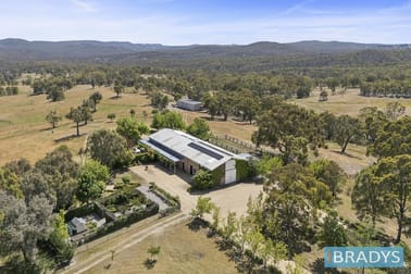 351 Marked Tree Road Gundaroo NSW 2620 - Image 1