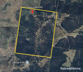 647 Sweedmans Road Limevale QLD 4384 - Image 2